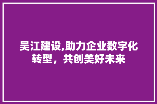 吴江建设,助力企业数字化转型，共创美好未来 必应SEO