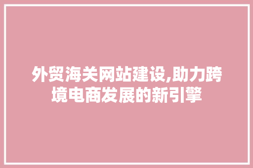 外贸海关网站建设,助力跨境电商发展的新引擎 百度SEO