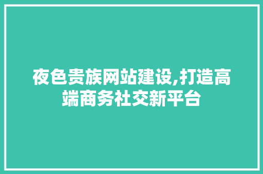 夜色贵族网站建设,打造高端商务社交新平台 百度SEO