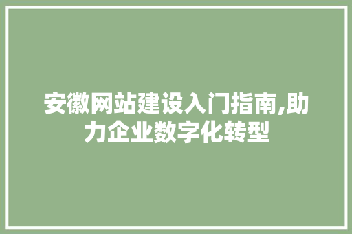 安徽网站建设入门指南,助力企业数字化转型 百度SEO