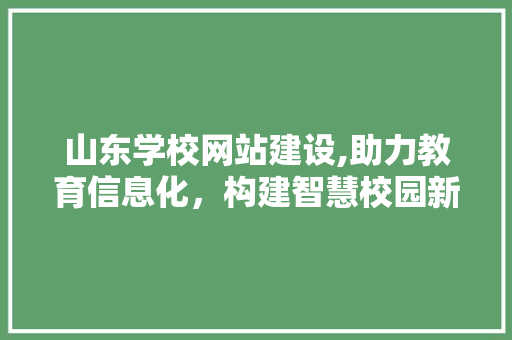 山东学校网站建设,助力教育信息化，构建智慧校园新篇章 神马SEO