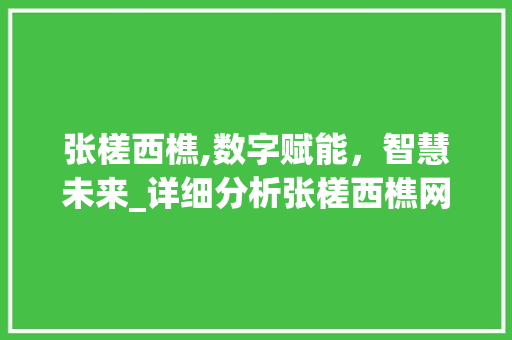 张槎西樵,数字赋能，智慧未来_详细分析张槎西樵网站建设新篇章