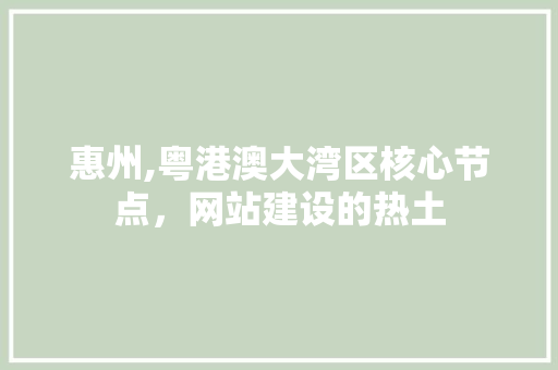 惠州,粤港澳大湾区核心节点，网站建设的热土 GoogleSEO