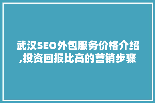 武汉SEO外包服务价格介绍,投资回报比高的营销步骤