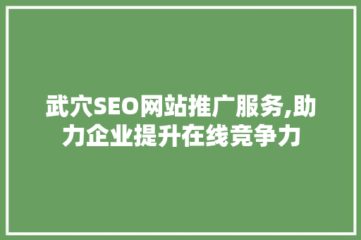 武穴SEO网站推广服务,助力企业提升在线竞争力 GoogleSEO