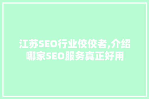 江苏SEO行业佼佼者,介绍哪家SEO服务真正好用 百度SEO