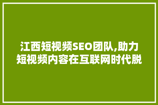 江西短视频SEO团队,助力短视频内容在互联网时代脱颖而出