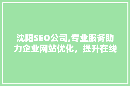 沈阳SEO公司,专业服务助力企业网站优化，提升在线竞争力 百度SEO
