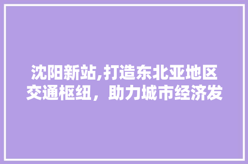 沈阳新站,打造东北亚地区交通枢纽，助力城市经济发展 GoogleSEO