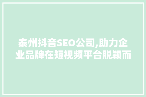 泰州抖音SEO公司,助力企业品牌在短视频平台脱颖而出 GoogleSEO