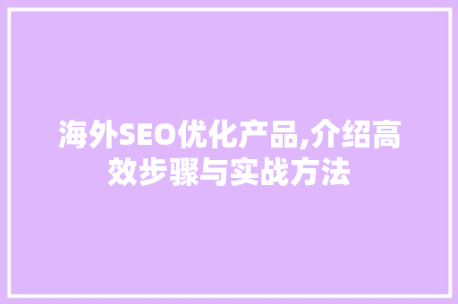 海外SEO优化产品,介绍高效步骤与实战方法