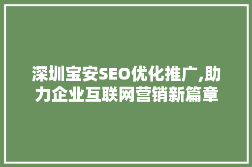 深圳宝安SEO优化推广,助力企业互联网营销新篇章 GoogleSEO