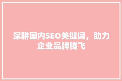 深耕国内SEO关键词，助力企业品牌腾飞 神马SEO