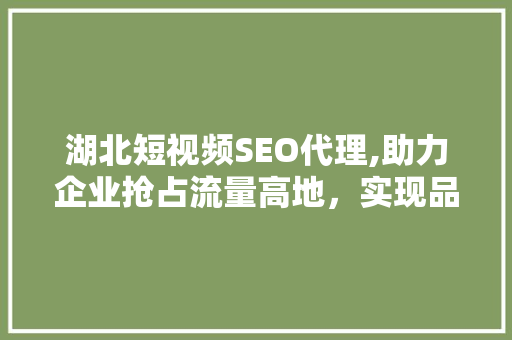 湖北短视频SEO代理,助力企业抢占流量高地，实现品牌价值最大化