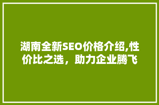 湖南全新SEO价格介绍,性价比之选，助力企业腾飞 GoogleSEO