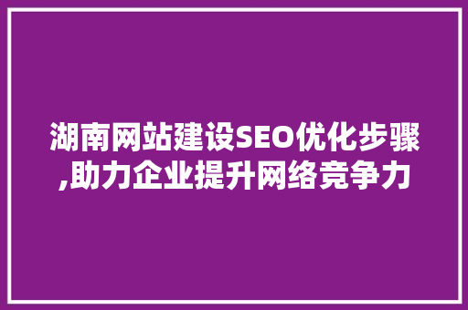 湖南网站建设SEO优化步骤,助力企业提升网络竞争力 百度SEO