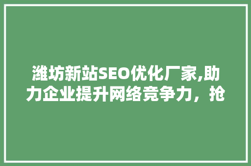 潍坊新站SEO优化厂家,助力企业提升网络竞争力，抢占市场先机