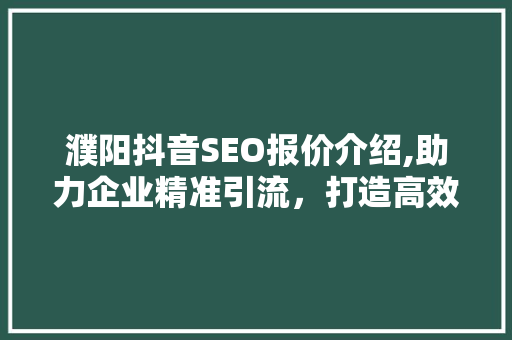 濮阳抖音SEO报价介绍,助力企业精准引流，打造高效营销步骤 必应SEO