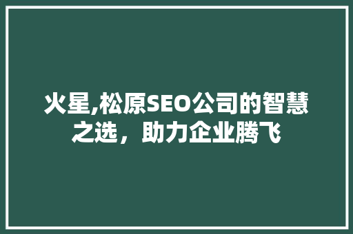 火星,松原SEO公司的智慧之选，助力企业腾飞 百度SEO