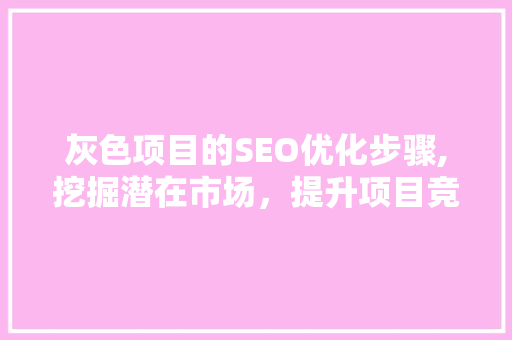 灰色项目的SEO优化步骤,挖掘潜在市场，提升项目竞争力 GoogleSEO