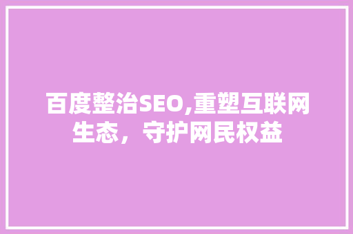 百度整治SEO,重塑互联网生态，守护网民权益