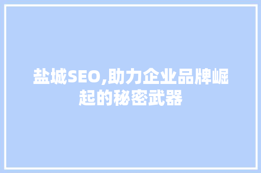 盐城SEO,助力企业品牌崛起的秘密武器 神马SEO