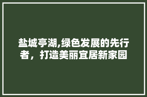 盐城亭湖,绿色发展的先行者，打造美丽宜居新家园 GoogleSEO