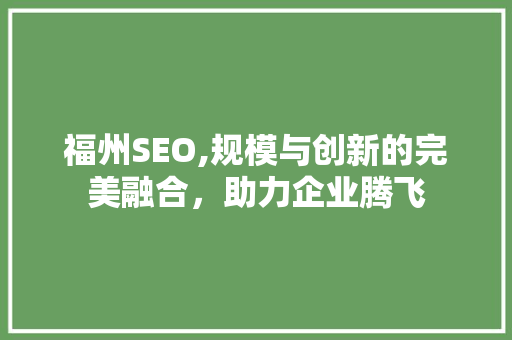 福州SEO,规模与创新的完美融合，助力企业腾飞