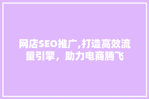 网店SEO推广,打造高效流量引擎，助力电商腾飞