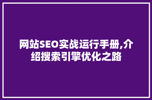 网站SEO实战运行手册,介绍搜索引擎优化之路