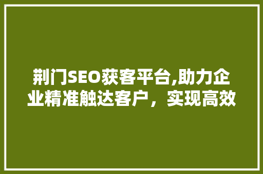 荆门SEO获客平台,助力企业精准触达客户，实现高效转化 神马SEO