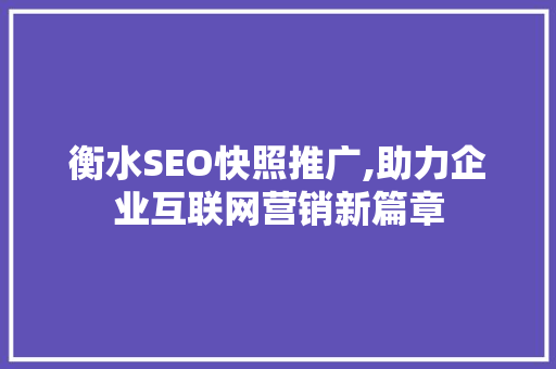 衡水SEO快照推广,助力企业互联网营销新篇章