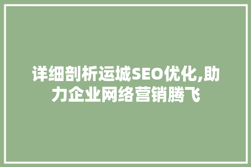 详细剖析运城SEO优化,助力企业网络营销腾飞 必应SEO