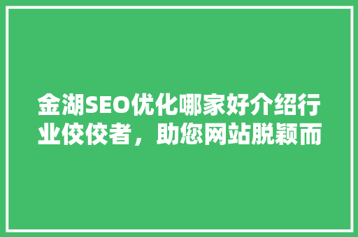 金湖SEO优化哪家好介绍行业佼佼者，助您网站脱颖而出