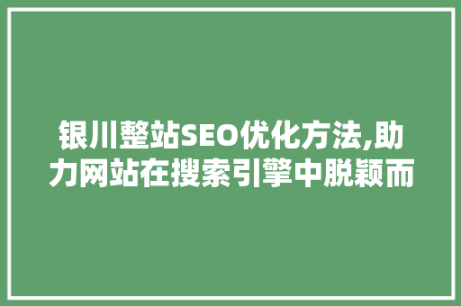 银川整站SEO优化方法,助力网站在搜索引擎中脱颖而出 百度SEO