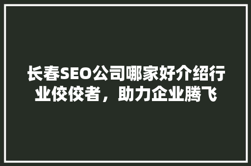 长春SEO公司哪家好介绍行业佼佼者，助力企业腾飞 必应SEO