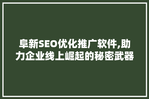 阜新SEO优化推广软件,助力企业线上崛起的秘密武器 GoogleSEO