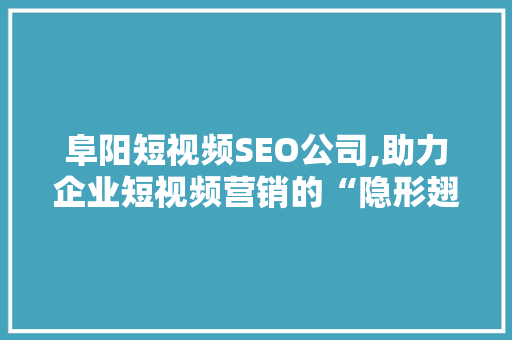 阜阳短视频SEO公司,助力企业短视频营销的“隐形翅膀” 必应SEO