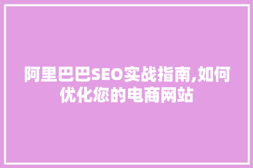 阿里巴巴SEO实战指南,如何优化您的电商网站 百度SEO