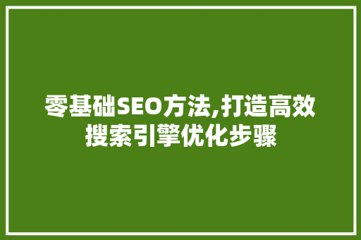 零基础SEO方法,打造高效搜索引擎优化步骤 必应SEO