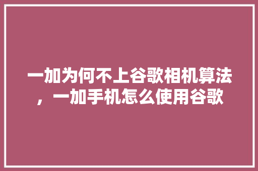 一加为何不上谷歌相机算法，一加手机怎么使用谷歌 必应SEO