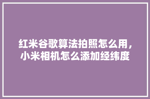 红米谷歌算法拍照怎么用，小米相机怎么添加经纬度