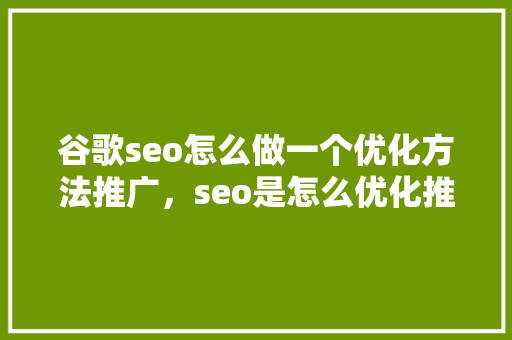 谷歌seo怎么做一个优化方法推广，seo是怎么优化推广的 必应SEO