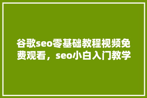 谷歌seo零基础教程视频免费观看，seo小白入门教学 搜狗SEO