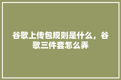 谷歌上传包规则是什么，谷歌三件套怎么弄 百度SEO