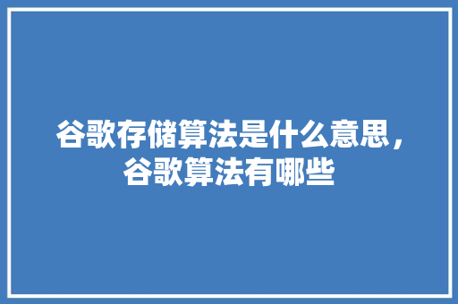 谷歌存储算法是什么意思，谷歌算法有哪些 百度SEO