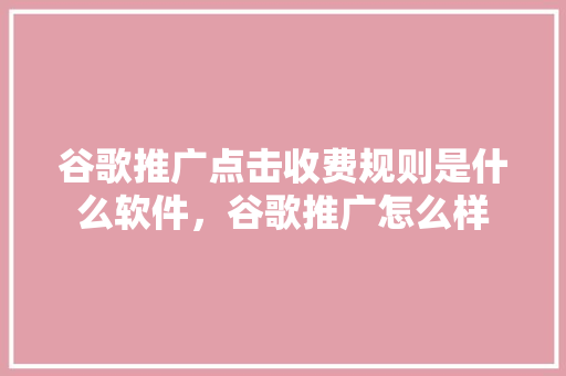谷歌推广点击收费规则是什么软件，谷歌推广怎么样 GoogleSEO