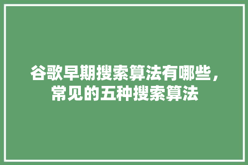 谷歌早期搜索算法有哪些，常见的五种搜索算法 神马SEO