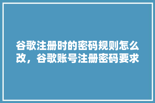 谷歌注册时的密码规则怎么改，谷歌账号注册密码要求