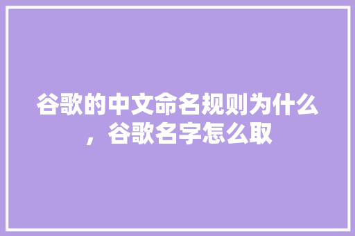 谷歌的中文命名规则为什么，谷歌名字怎么取 搜狗SEO